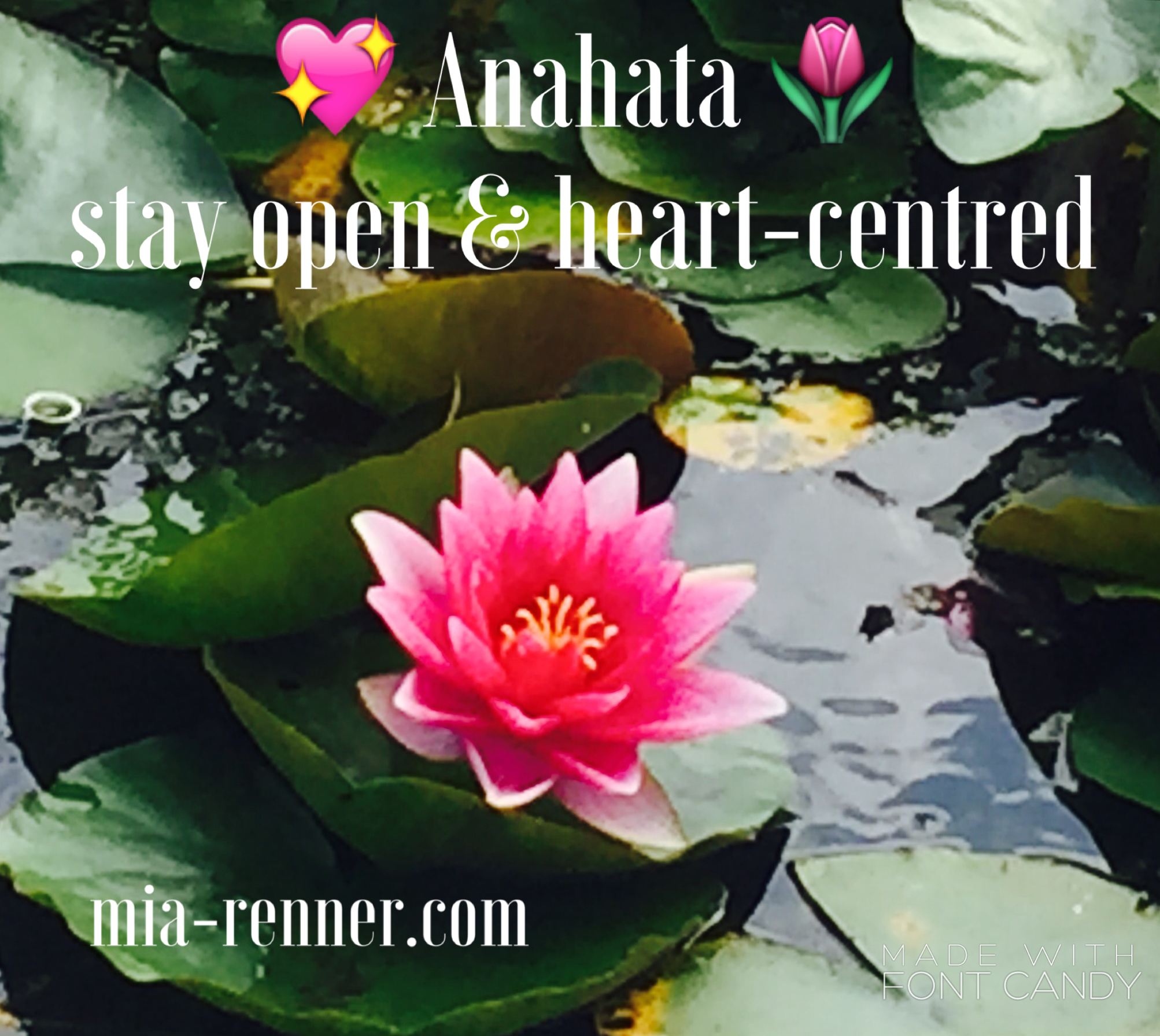 Staying open & heart-centred